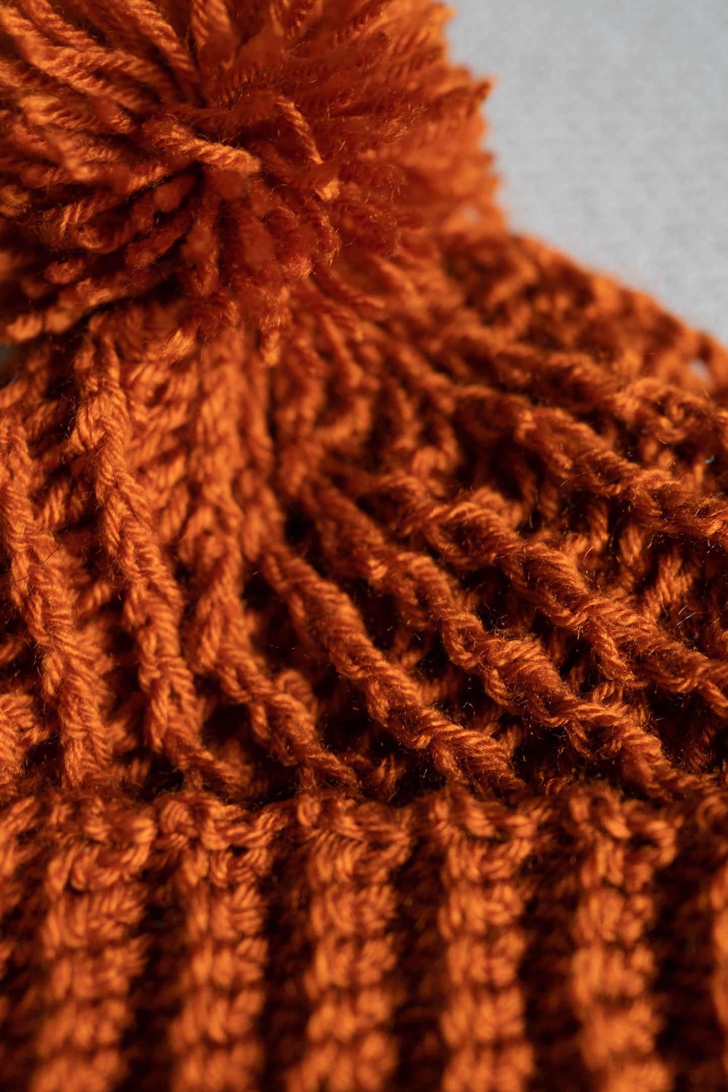 The Cozy Pom Beanie