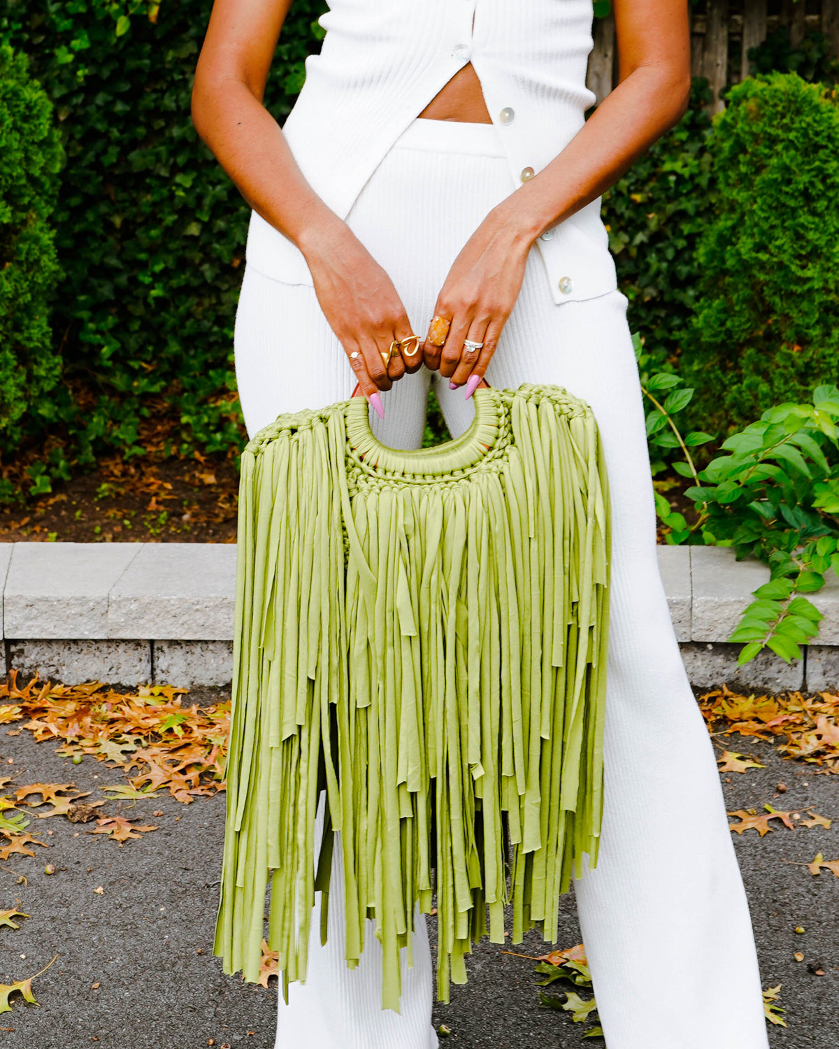 The Palm Fringe
